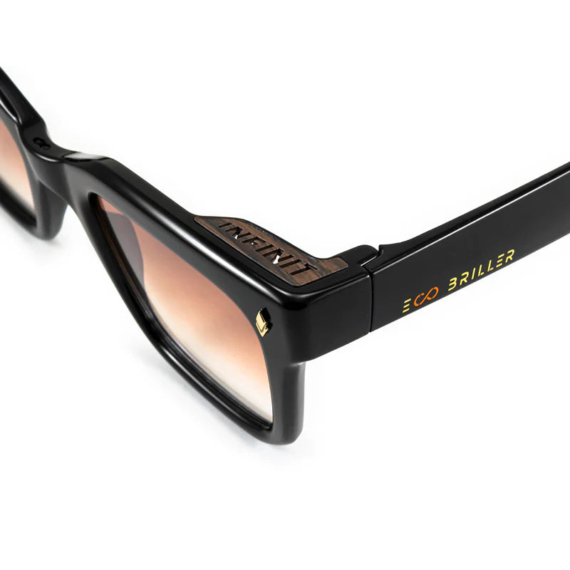 Jacobs Eco Briller - Black Shiny - Brown Gradient Lens