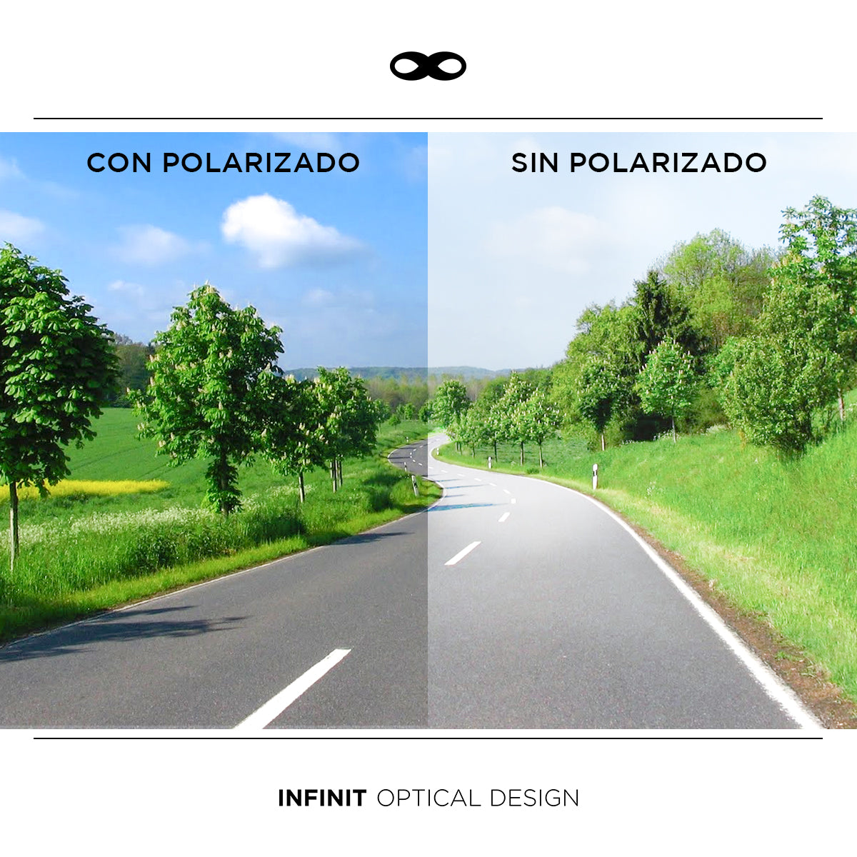 Admiration - BM - Polarized Gray Lens