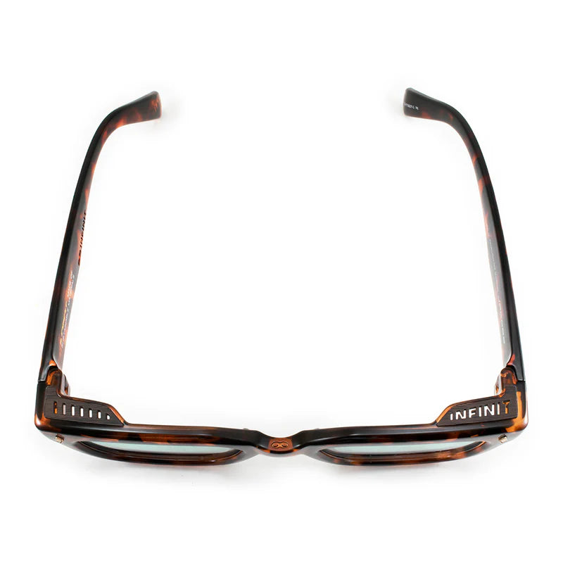 Jacobs Eco Briller - Tortoise - Green Gradient Lens