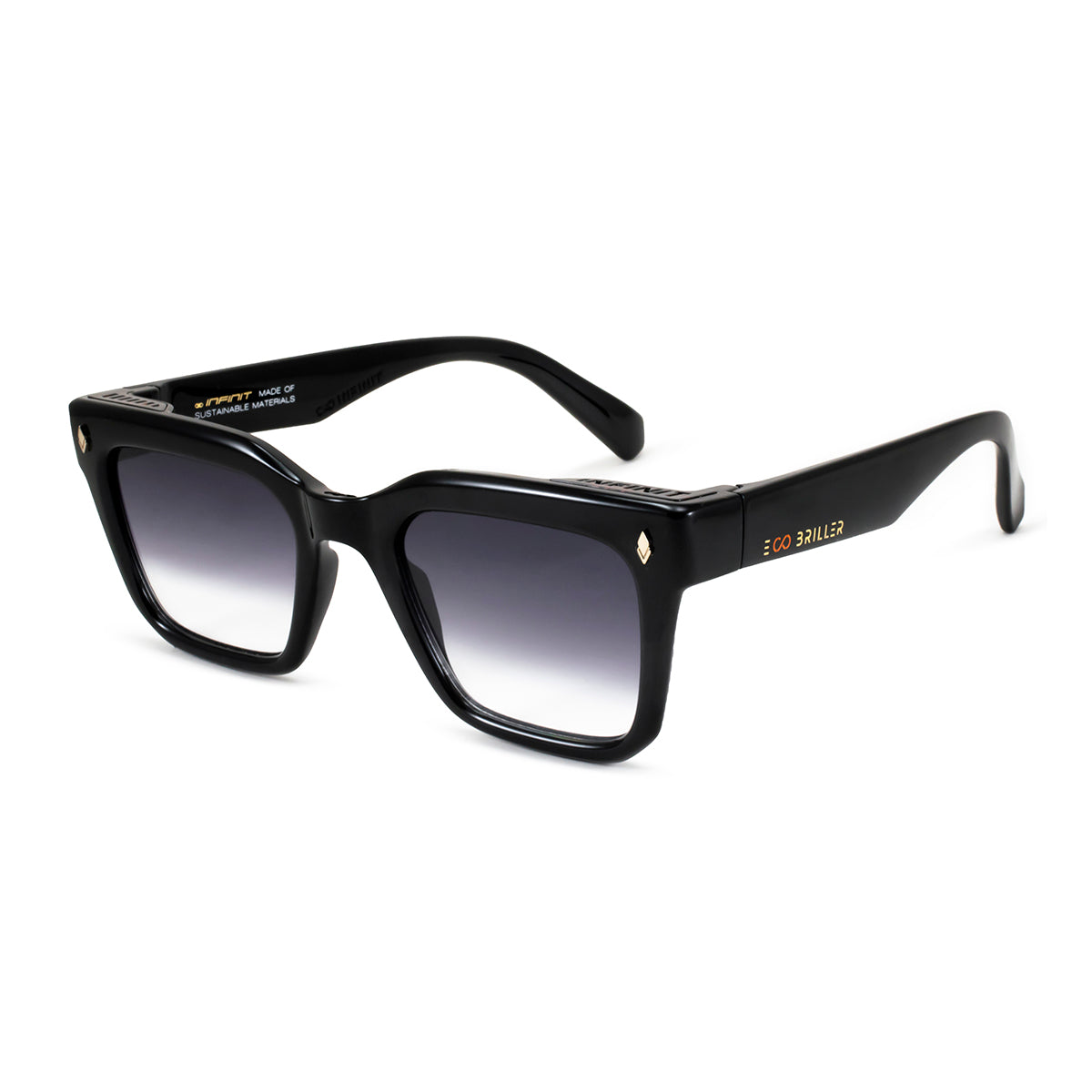 Jacobs Eco Briller - Black Shiny - Horizon Lens