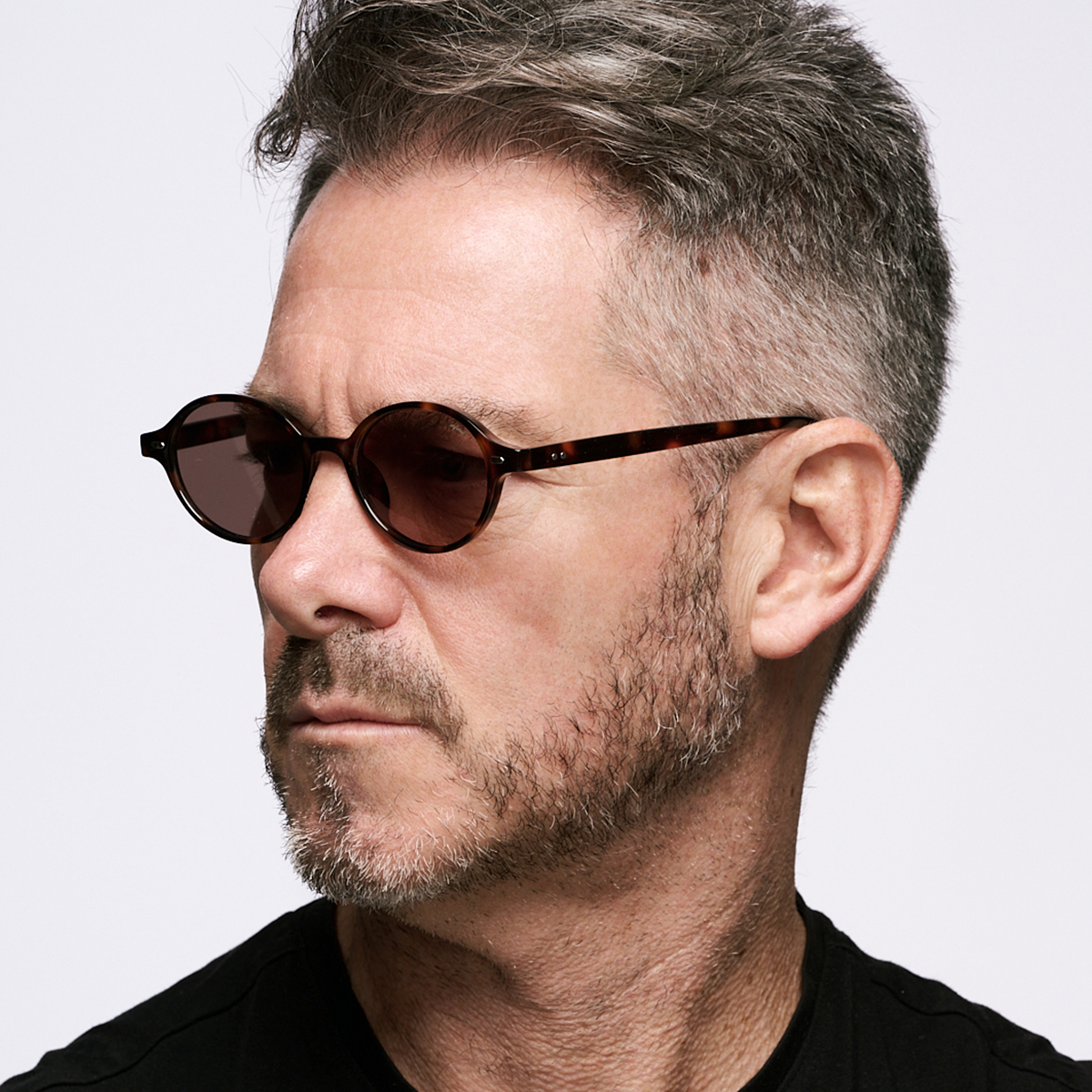 Vizu - Habano - Tea Gray Lens