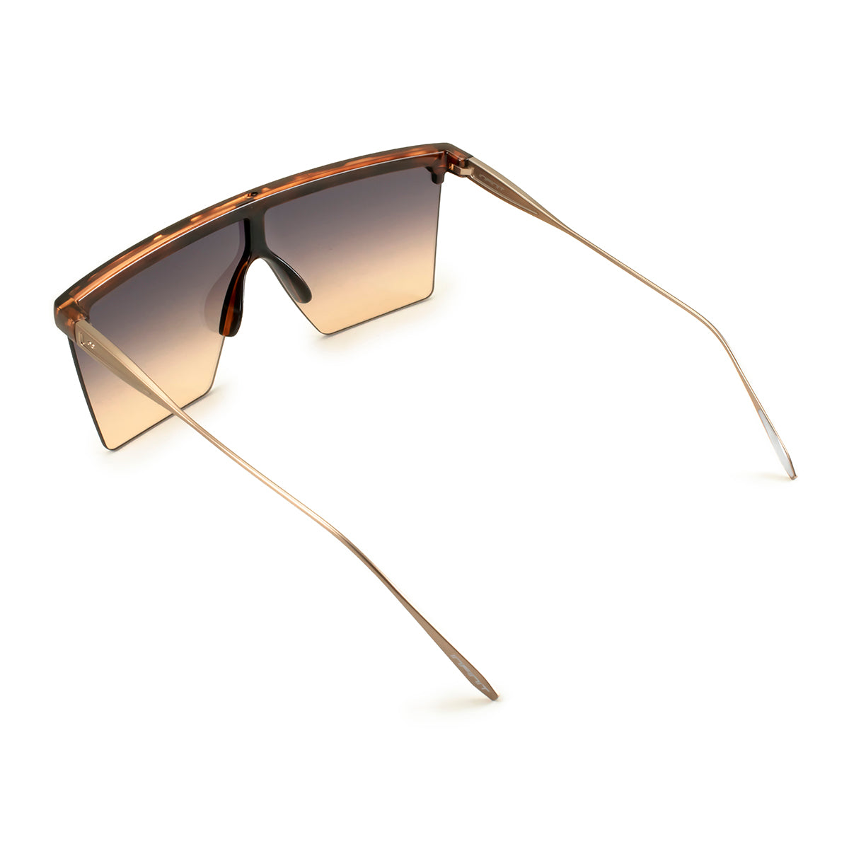 Moscow - Metal Tortoise - Coffee Lens