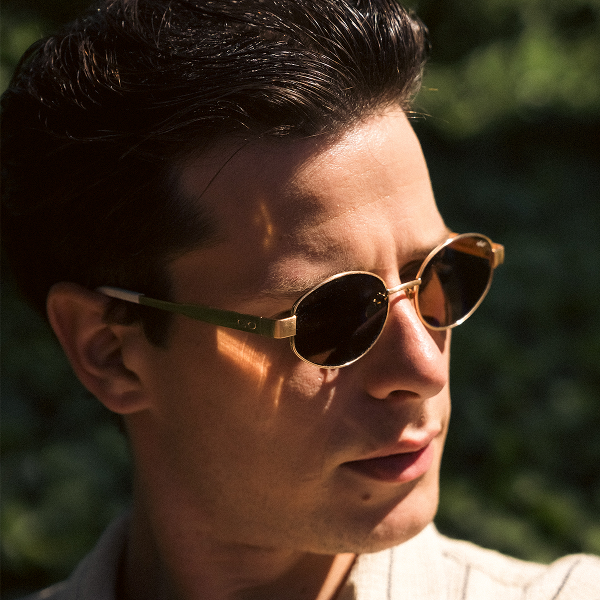 Alaska - Gold Brown Lens