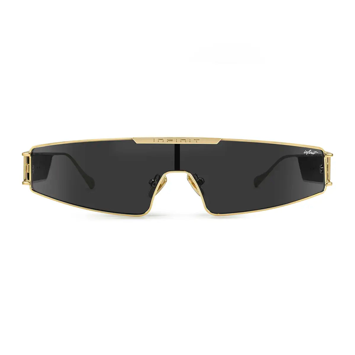 Panoramic - BM - Gray Lens