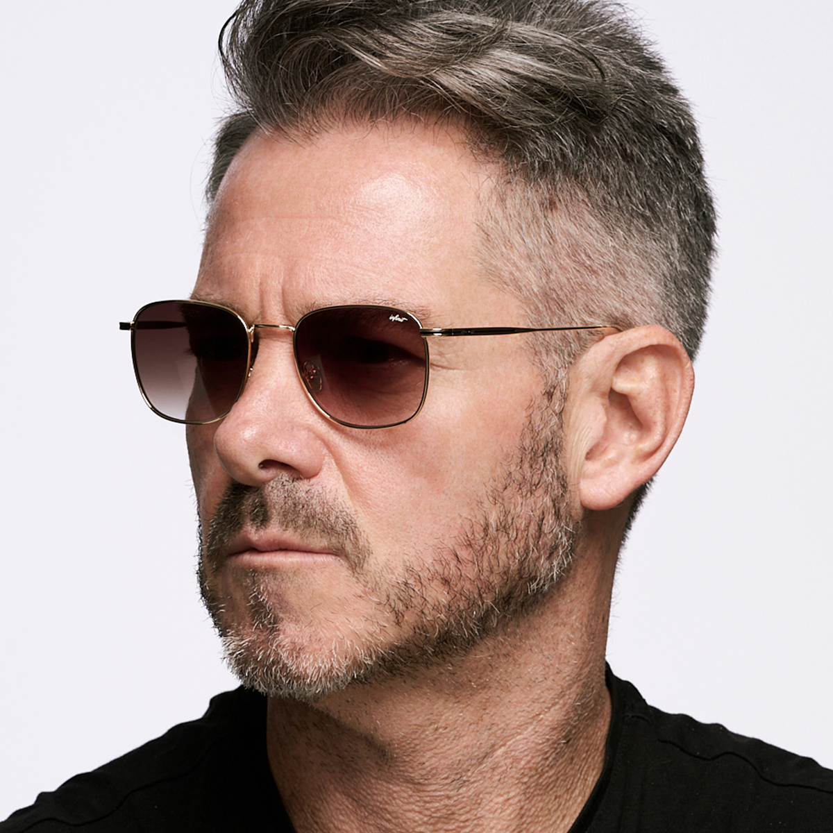 Secchia - Gold - Gradient Brown Lens