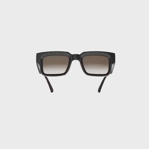 exclamation-black-shiny-tortoise